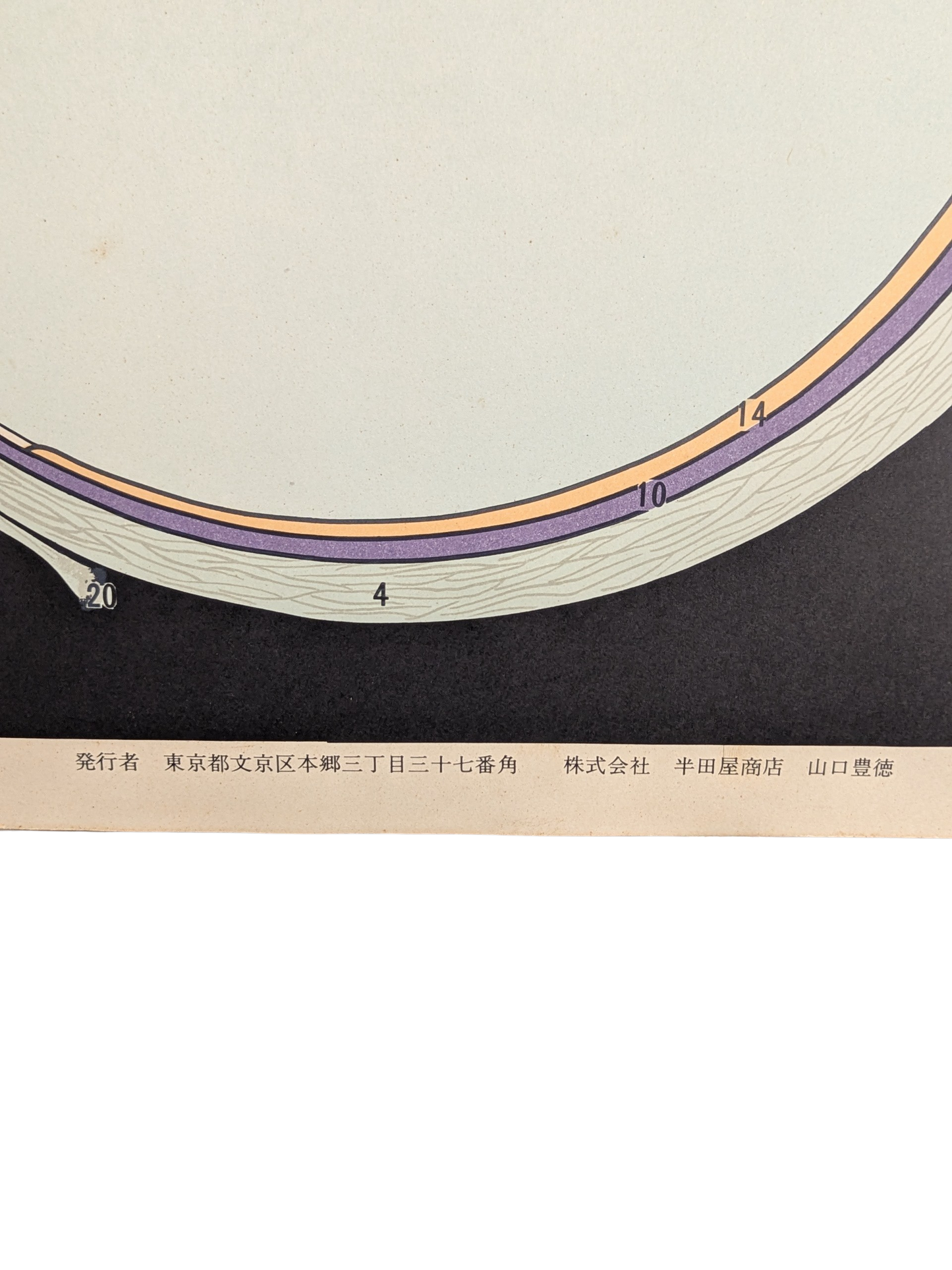Vintage Japanese Anatomical Eye Chart – University of Tokyo, c. 1940s